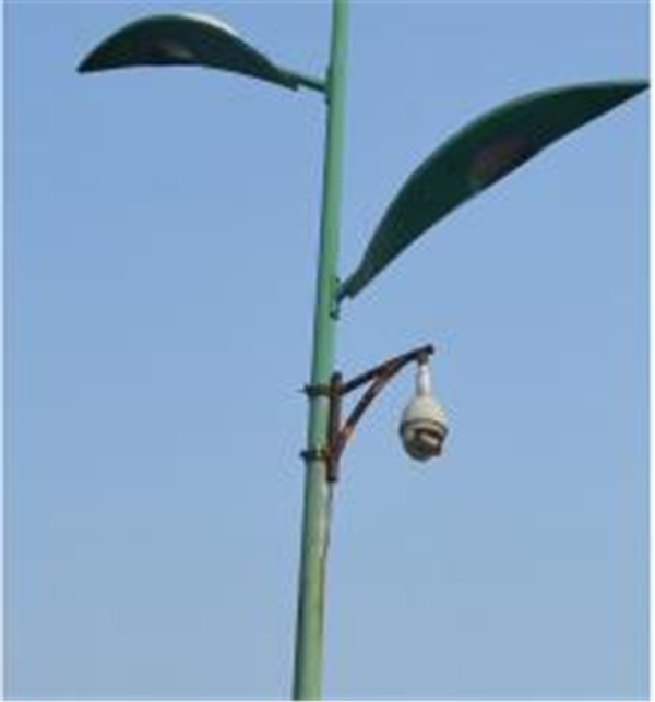 1524811072808761.jpg 飄桿除銹涂漆前.jpg